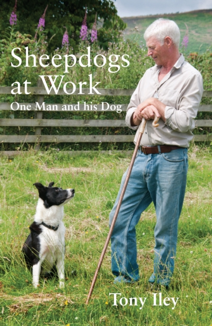 E-kniha Sheepdogs at Work Tony Iley