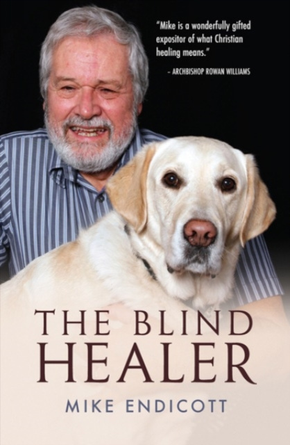 E-book Blind Healer Mike Endicott
