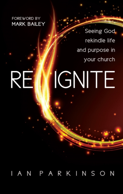 E-kniha Reignite Ian Parkinson