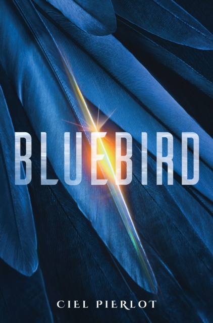 E-knjiga Bluebird Ciel Pierlot