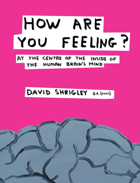 E-kniha How Are You Feeling? David Shrigley