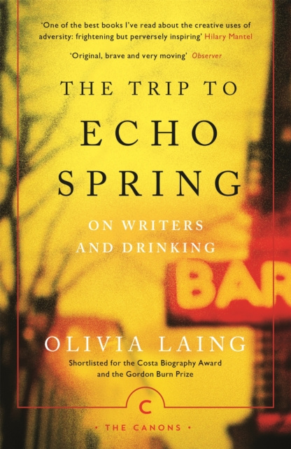 E-knjiga Trip to Echo Spring Olivia Laing