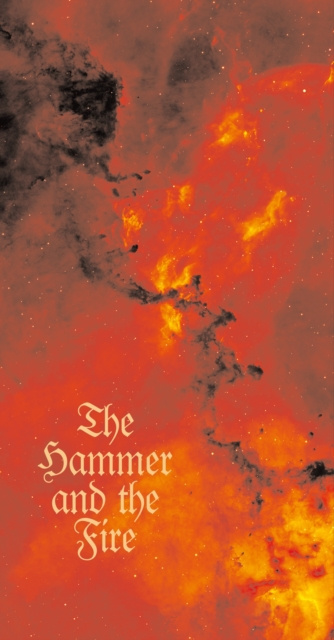 E-kniha Hammer and The Fire Henry Marsh