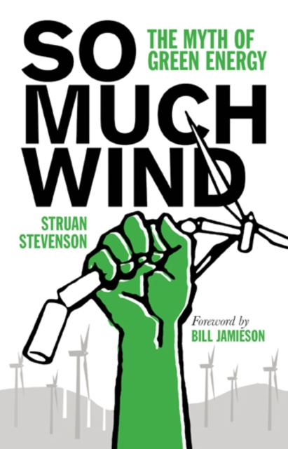 E-knjiga So Much Wind Struan Stevenson