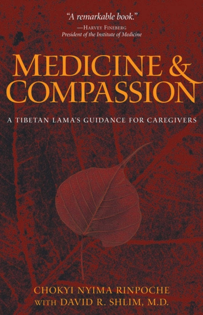 E-kniha Medicine and Compassion Chokyi Nyima