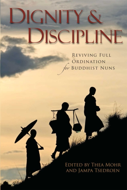 E-knjiga Dignity and Discipline Thea Mohr