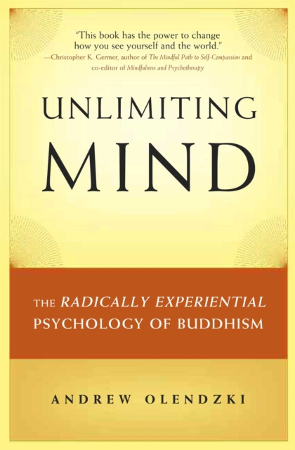 E-knjiga Unlimiting Mind Andrew Olendzki
