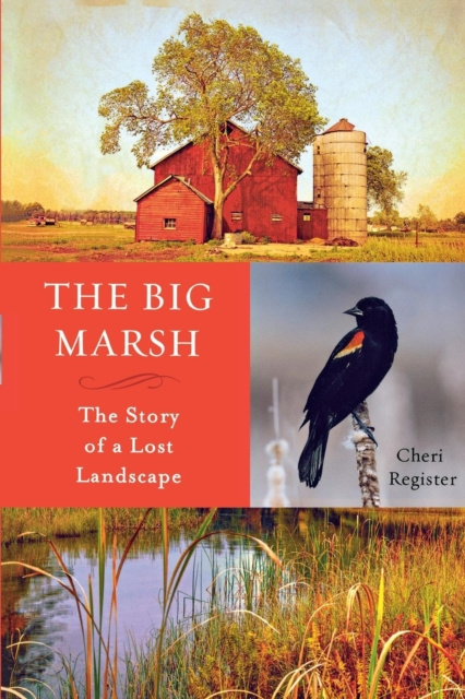 ebook Big Marsh Cheri Register