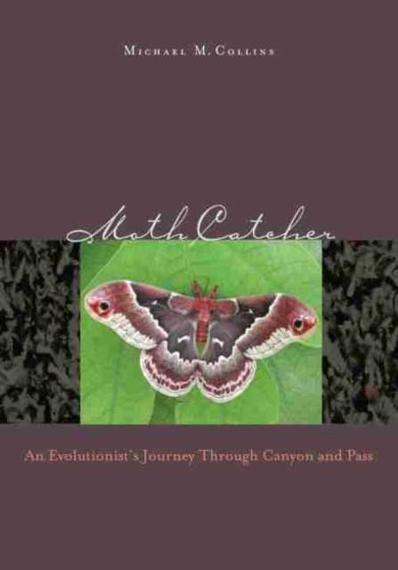 E-book Moth Catcher Michael M. Collins