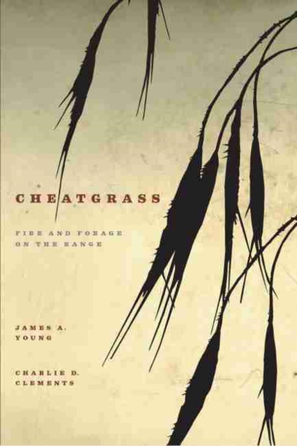 E-knjiga Cheatgrass James A. Young