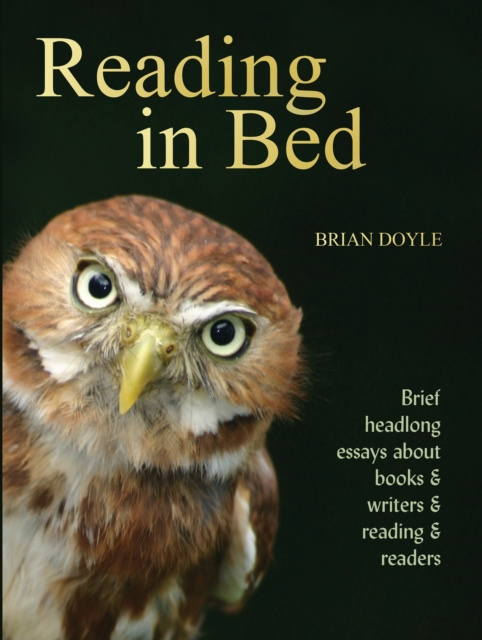 E-Book Reading In Bed Brian Doyle