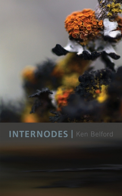 E-knjiga Internodes Ken Belford