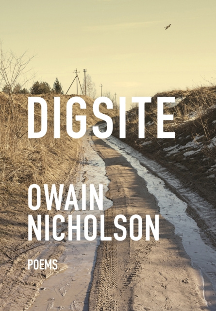 E-knjiga Digsite Owain Nicholson