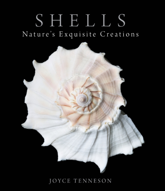 E-book Shells Joyce Tenneson
