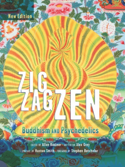 E-kniha Zig Zag Zen Allan Badiner