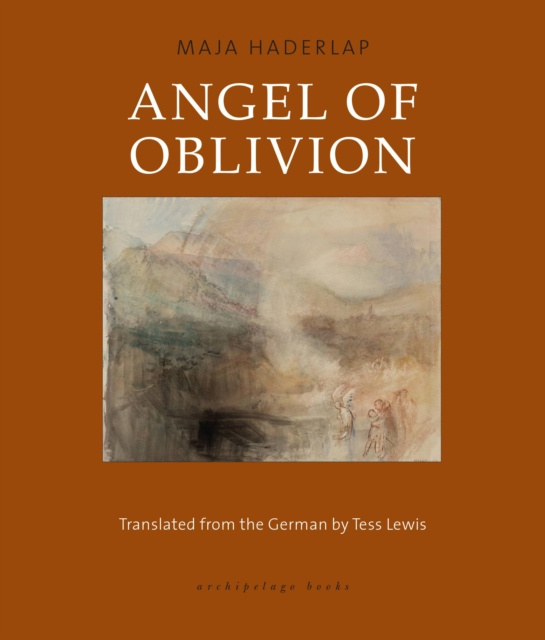 E-book Angel of Oblivion Maja Haderlap