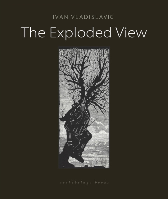 E-knjiga Exploded View Ivan Vladislavic