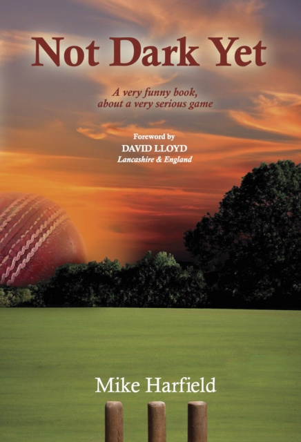 E-knjiga Not Dark Yet Mike Harfield