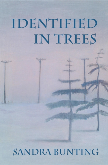 E-book Identified In Trees Sande Bunting