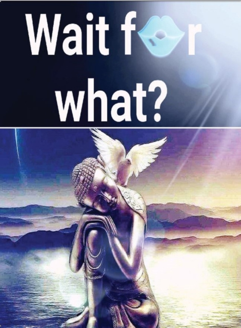 E-knjiga Wait for What? Christina Varghese