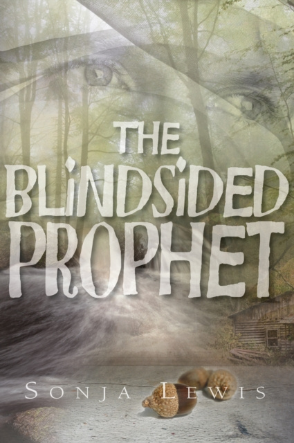 E-knjiga Blindsided Prophet Sonja Lewis
