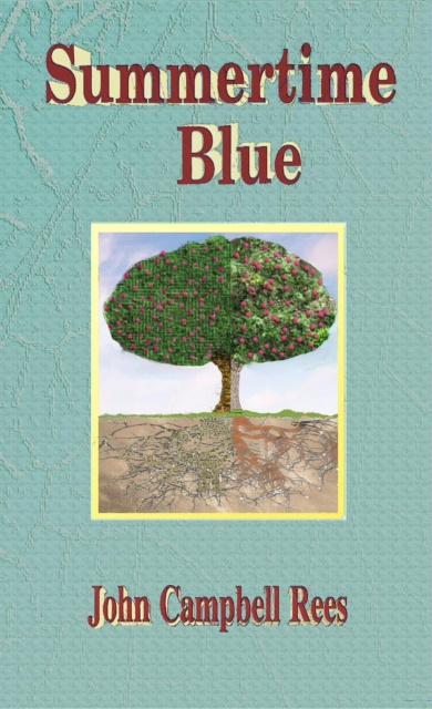 E-book Summertime Blue John Campbell Rees