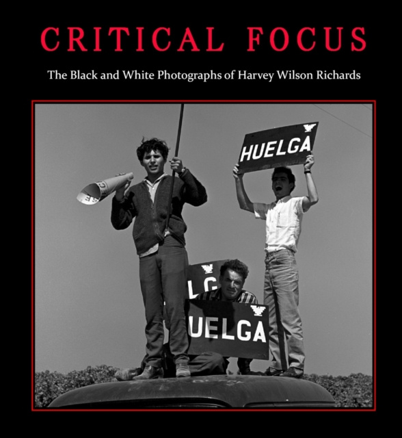 E-Book Critical Focus Paul Richards