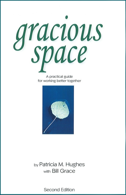 E-knjiga Gracious Space Patricia Hughes