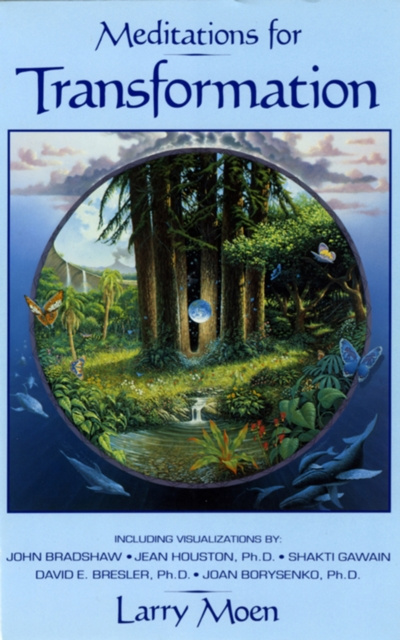 E-knjiga Meditations for Transformation Larry Moen