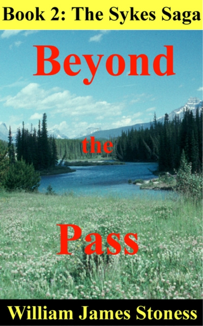 E-knjiga Beyond the Pass William James Stoness