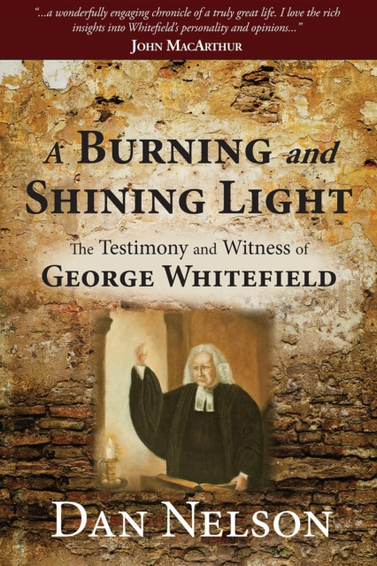 E-book Burning and Shining Light Dan Nelson