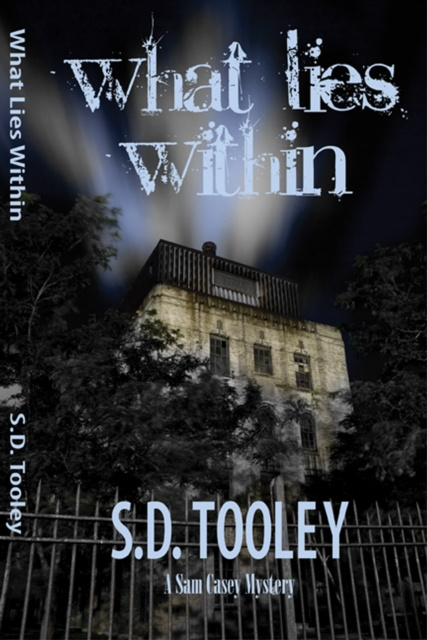 E-book What Lies Within S.D. Tooley