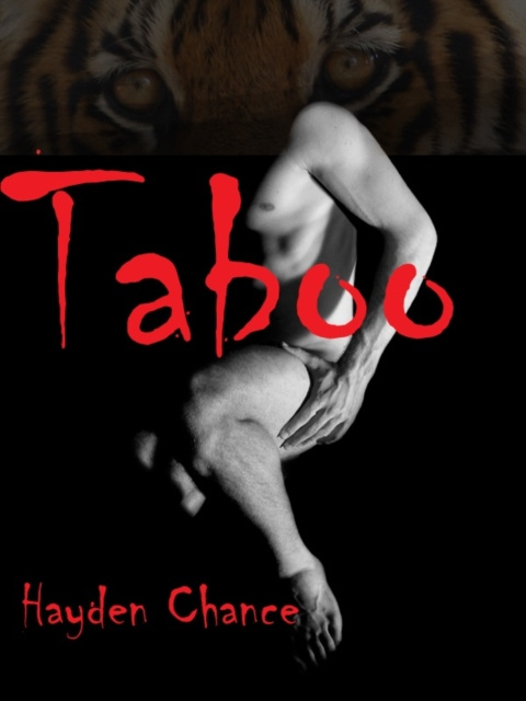E-knjiga Taboo Hayden Chance