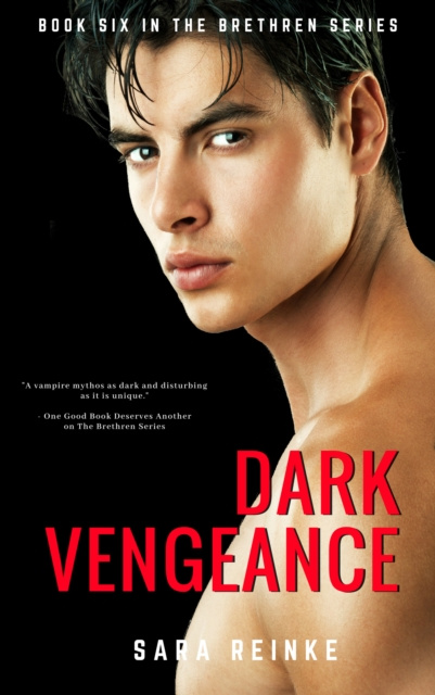E-knjiga Dark Vengeance Sara Reinke