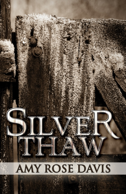 E-knjiga Silver Thaw Amy Rose Davis
