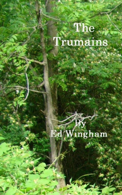E-kniha Trumains Ed Wingham