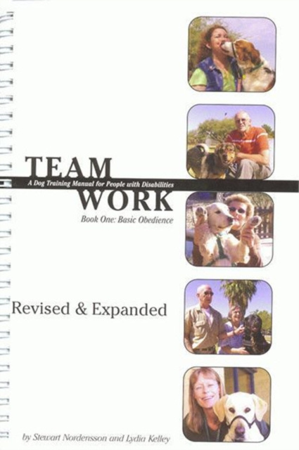 E-knjiga TEAMWORK Stewart Nodensson