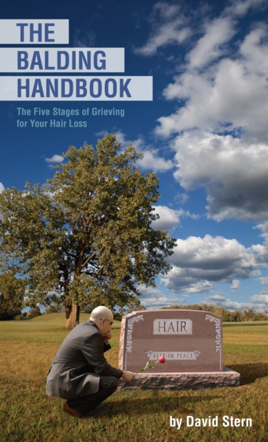 E-book Balding Handbook David Stern