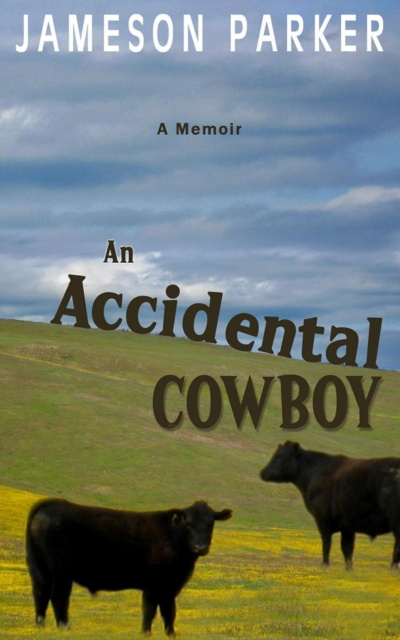 E-kniha Accidental Cowboy Jameson Parker