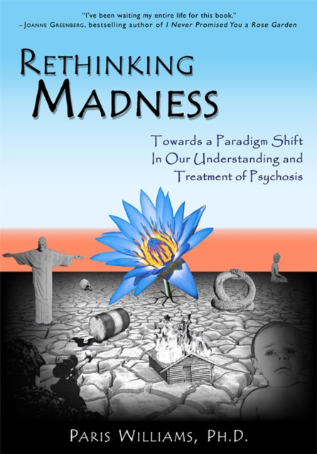 E-book Rethinking Madness Paris Williams