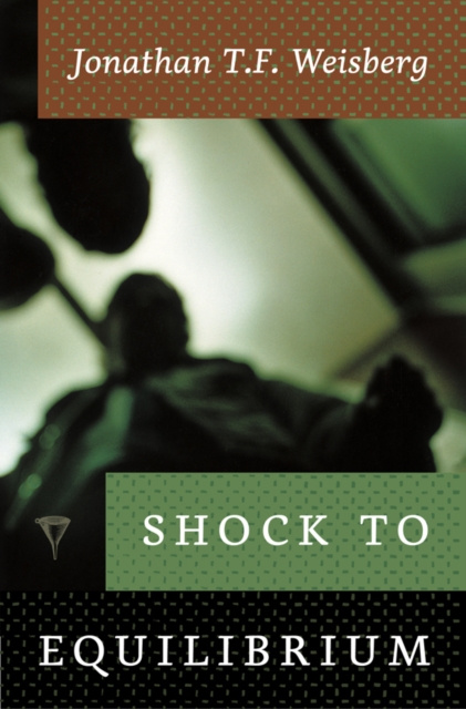 E-knjiga Shock to Equilibrium Jonathan T. F. Weisberg