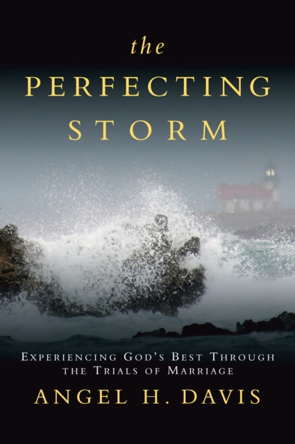 E-knjiga Perfecting Storm Angel H. Davis