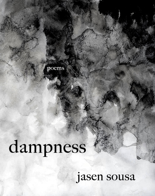 E-knjiga dampness Jasen Sousa