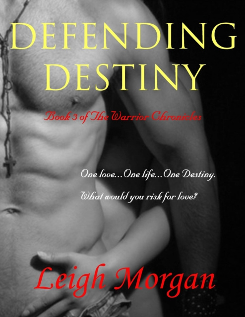 E-kniha Defending Destiny Leigh Morgan