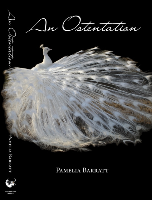 E-book Ostentation Pamelia Barratt