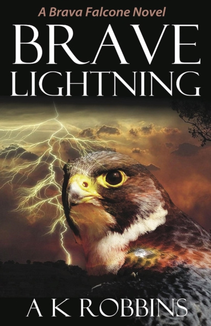E-book Brave Lightning AK Robbins