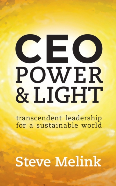E-knjiga CEO Power & Light Steve Melink