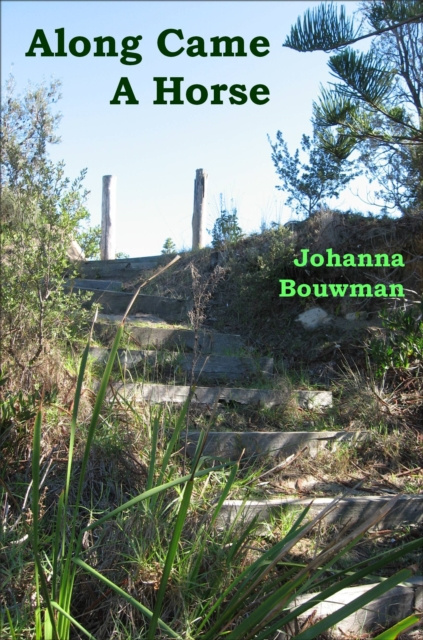 E-knjiga Along Came A Horse Johanna Bouwman
