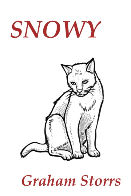 E-knjiga Snowy Graham Storrs