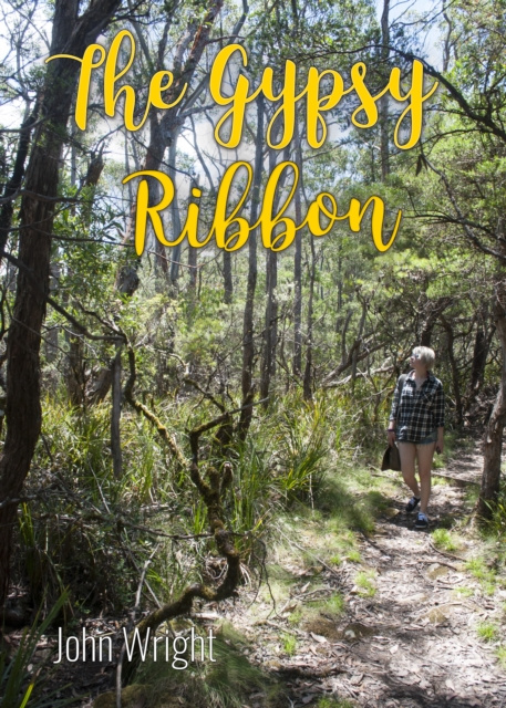 E-book Gypsy Ribbon John Wright